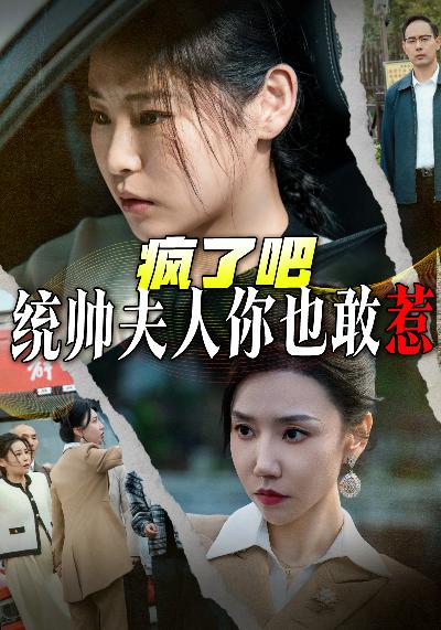 疯了吧统帅夫人你也敢惹海报