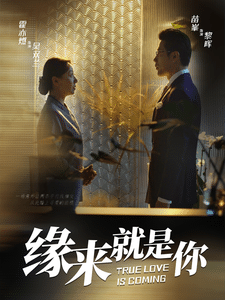 缘来就是你 短剧版海报