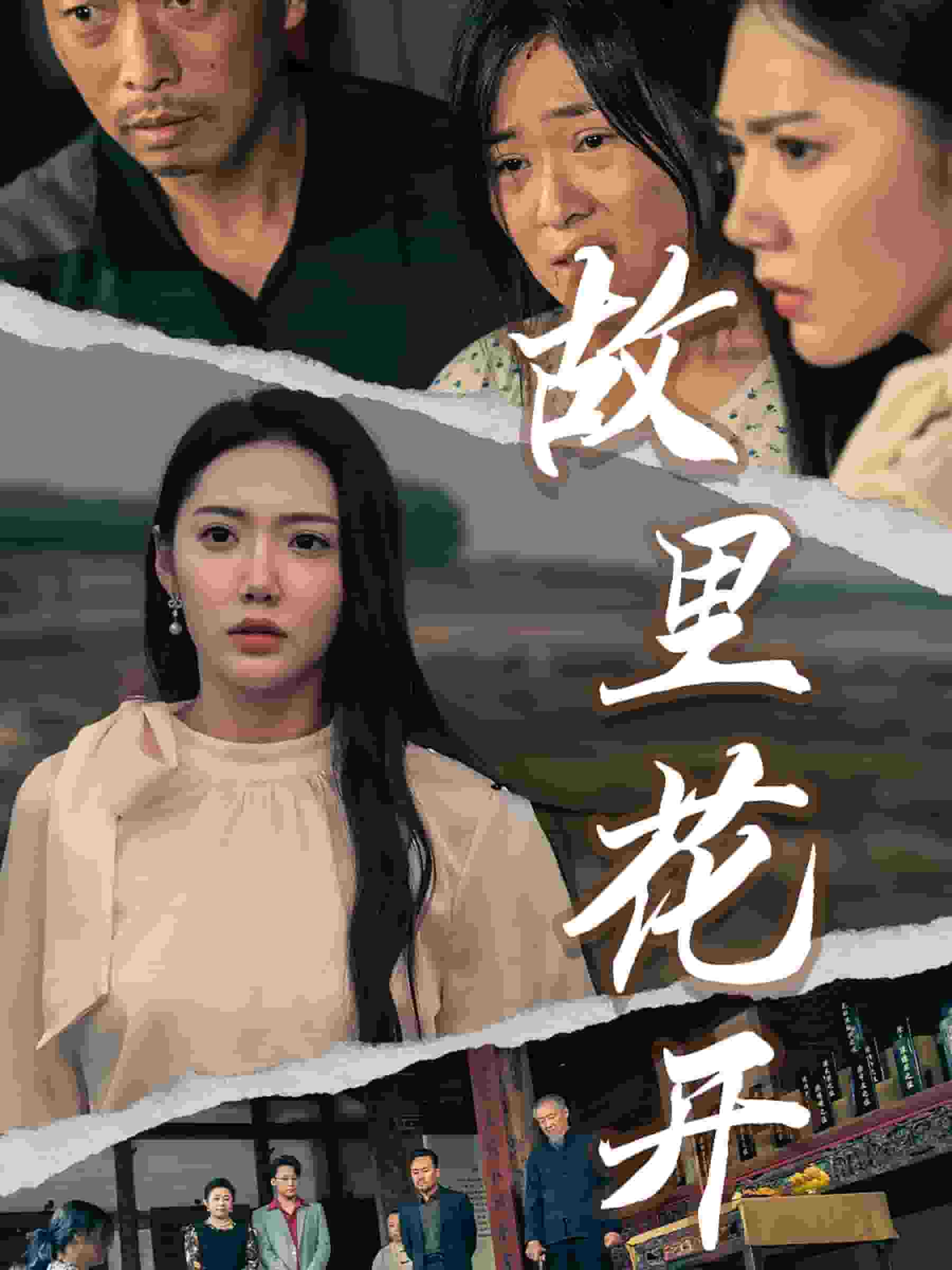 故里花开海报