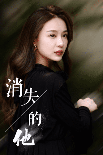 消失的他海报