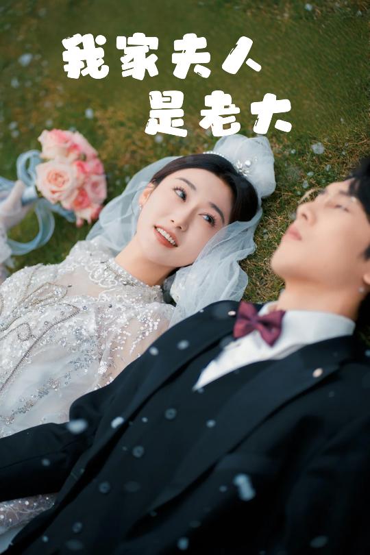 夫人竟然是大佬海报