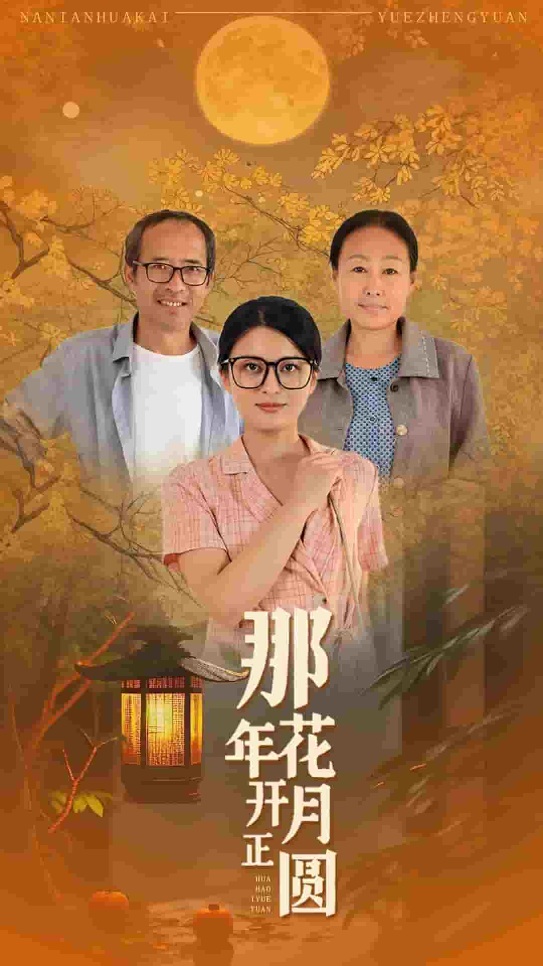 那年花开月正圆 短剧海报