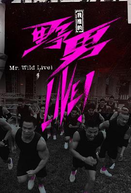 我推的野男LIVE！粤语海报