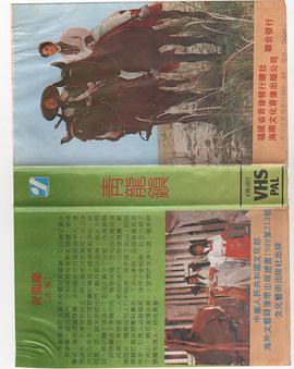 青龍鎮海报