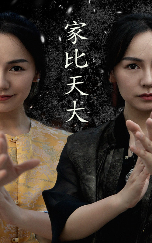 家比天大短剧海报