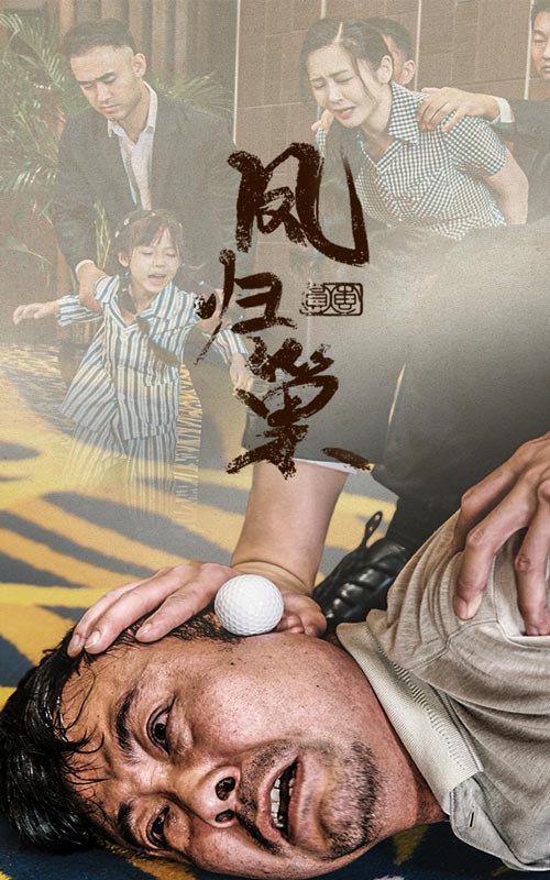 新版：凤归巢海报