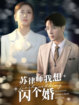 苏律师我想闪个婚海报