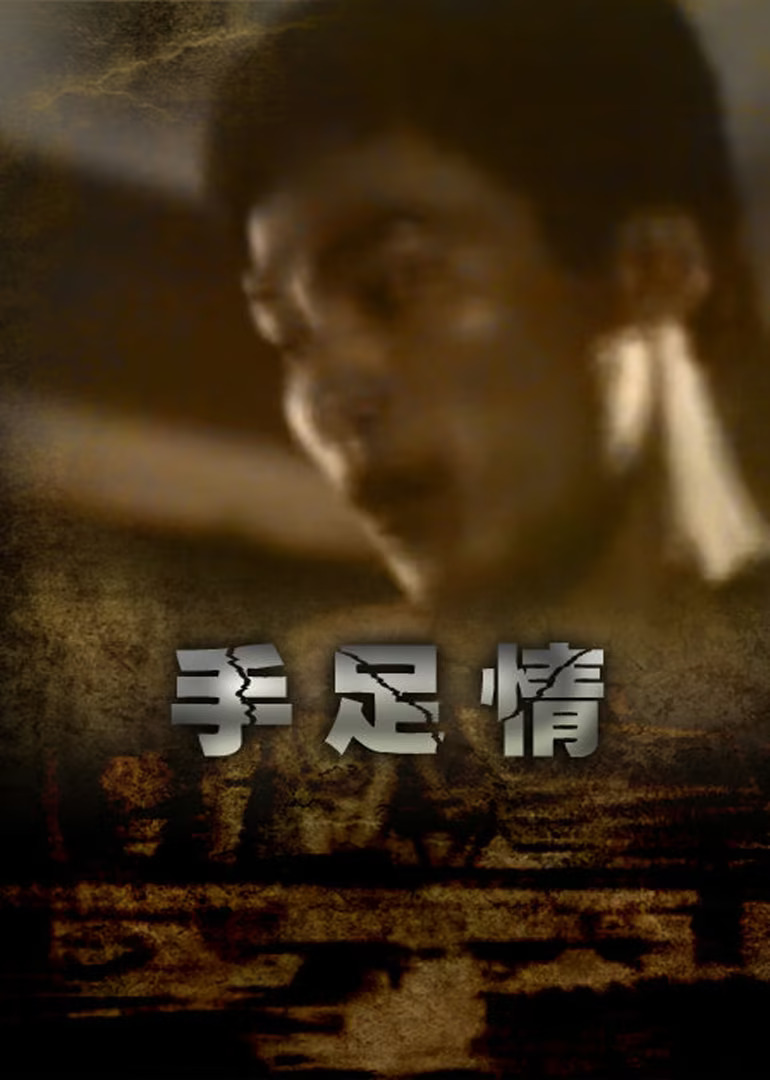 手足情1988海报
