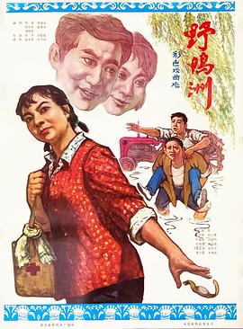 野鸭洲海报