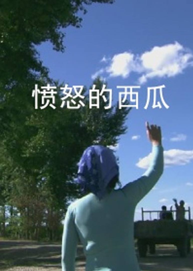 愤怒的西瓜海报