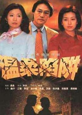 温柔陷阱2001海报