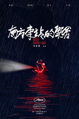 南方车站的聚会纪录片海报