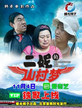 二妮的山村梦2017海报
