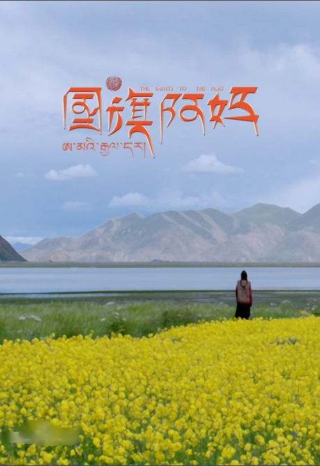 国旗阿妈海报