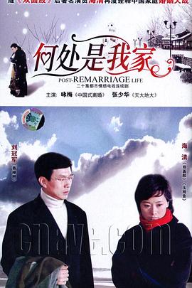 何处是我家2007海报