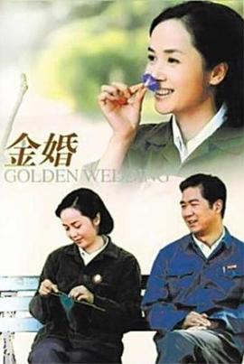 金婚[电视剧版]海报
