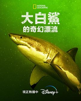 大白鲨的奇幻漂流海报