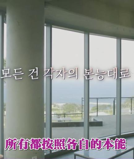 按照各自的本能海报