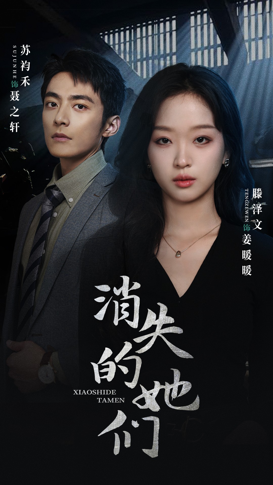 消失的她们海报