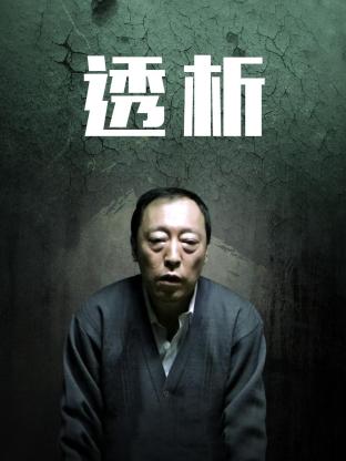 透析2011海报