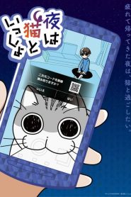 今晚有猫伴身边海报