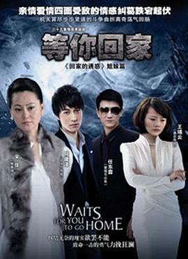 等你回家2013海报