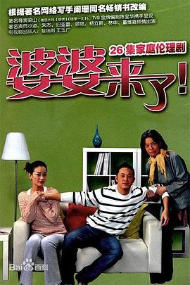 婆婆来了2011海报