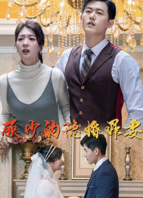 顾少的隐婚罪妻海报