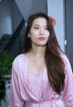 最佳女婿短剧海报