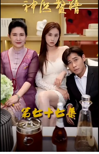 神医赘婿海报