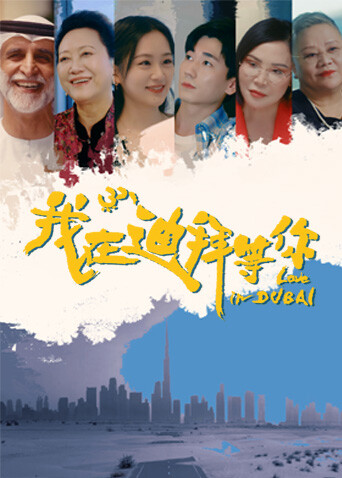 我在迪拜等你海报