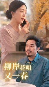 柳暗花明又一春海报
