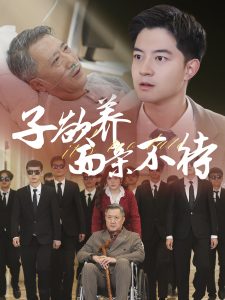 子欲养而亲不待70集海报