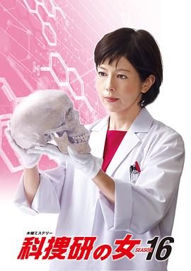科搜研之女第十六季海报