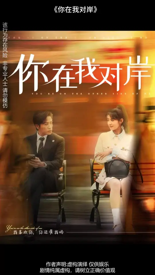 你在我对岸海报