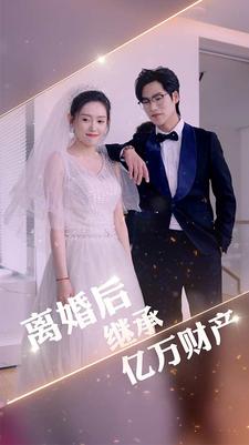 离婚后继承亿万财产海报