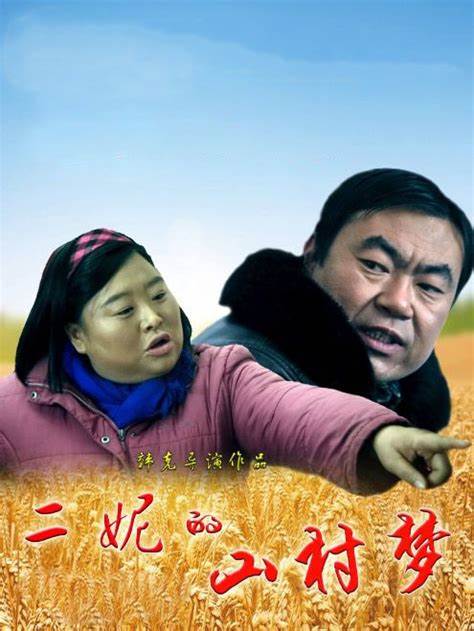 二妮的山村梦海报