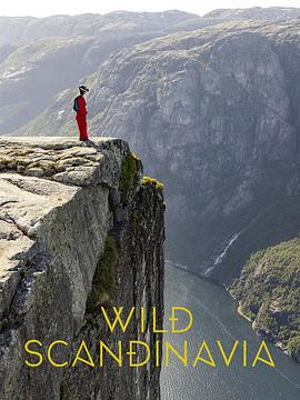 野性斯堪的纳维亚第一季海报