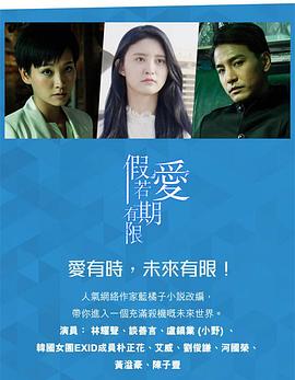 假如爱有期限粤语海报