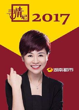 寻情记海报