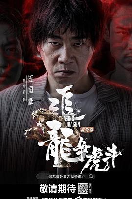 追龙番外篇之龙争虎斗国语海报