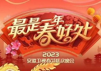 年安徽卫视春节联欢晚会海报