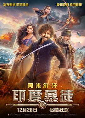 印度暴徒国语海报