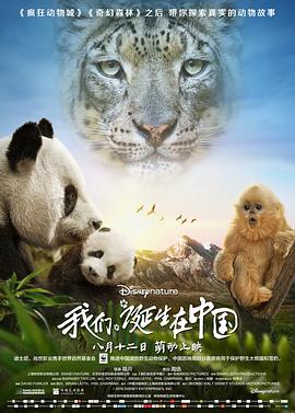 我们诞生在中国国语海报