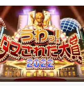 日本整人大赏年冬季3小时SP海报