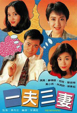 一夫三妻粤语海报