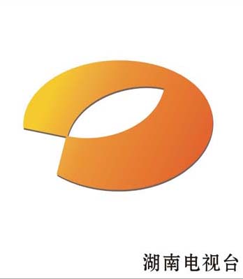 2010金芒果粉丝节海报