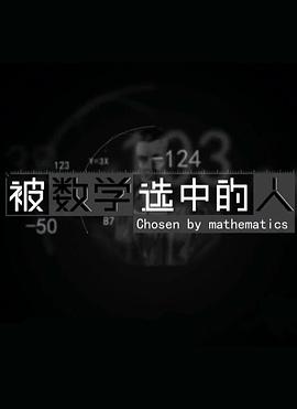被数学选中的人海报