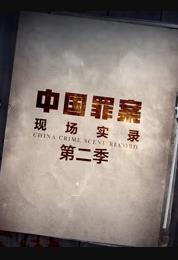 罪案现场实录第二季海报