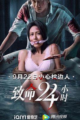 致命24小时国语海报